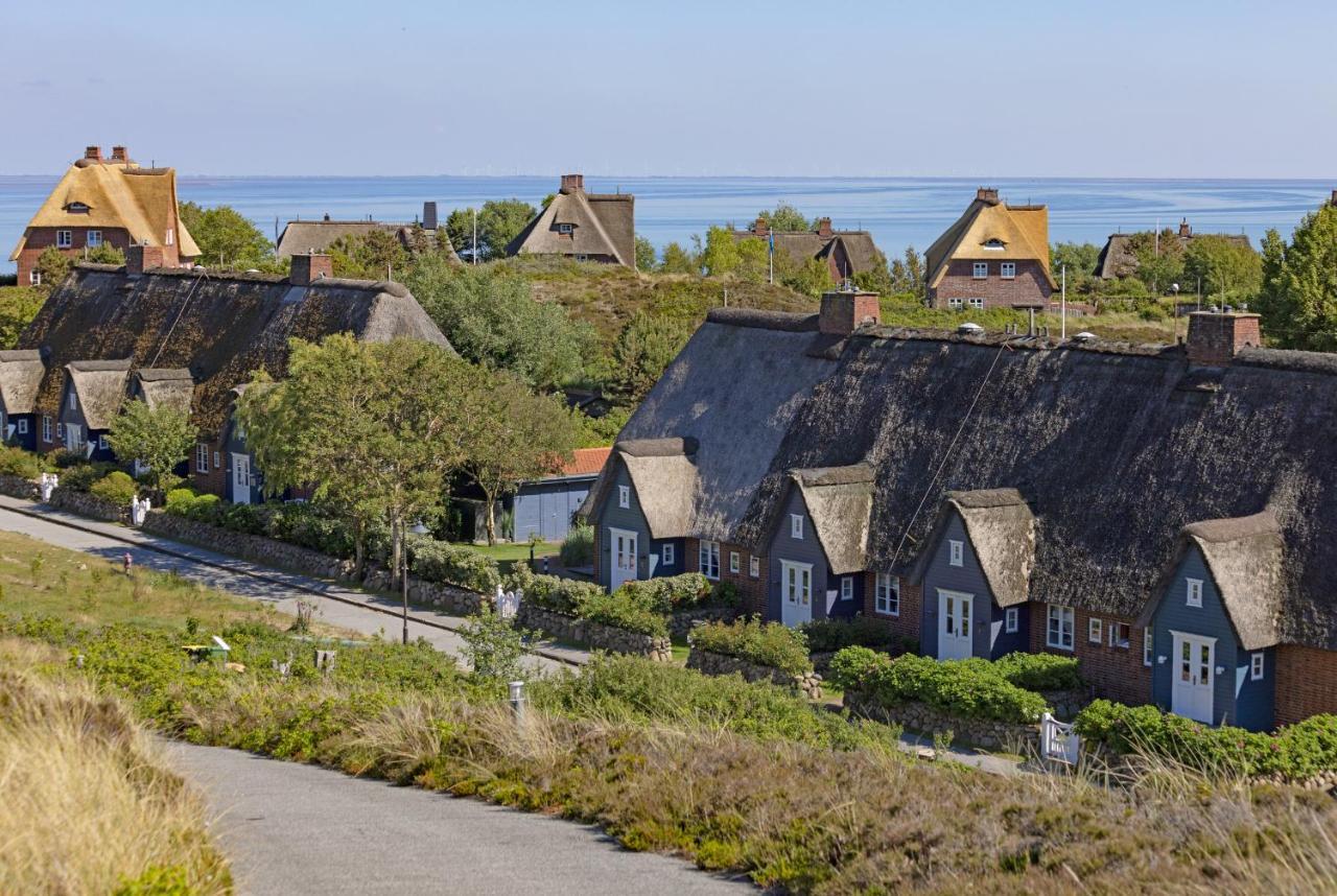 Austernfischer List auf Sylt